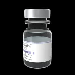 Gentamicin Vial